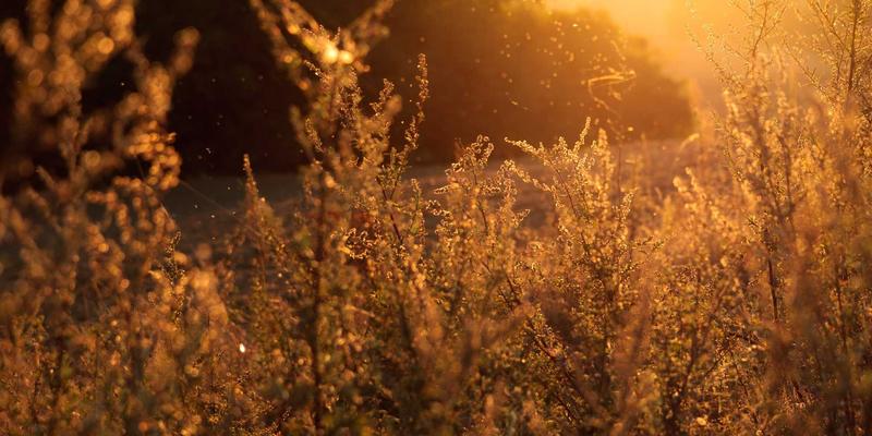 泰山尚峰3:以建筑装饰艺术重塑空间美学,大理石材料的卓越演绎