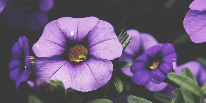 泰山尚峰73:精工石材如何重塑建筑装饰美学与品质