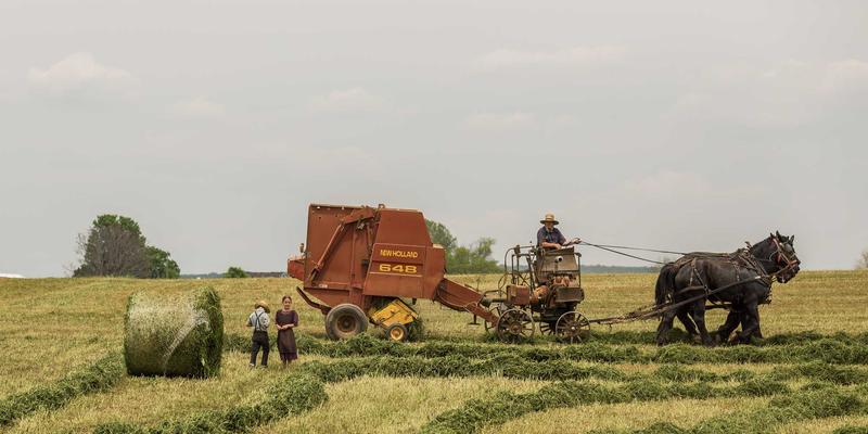 泰山尚峰 vs 周边竞品：从建筑装饰与石材加工看谁更胜一筹