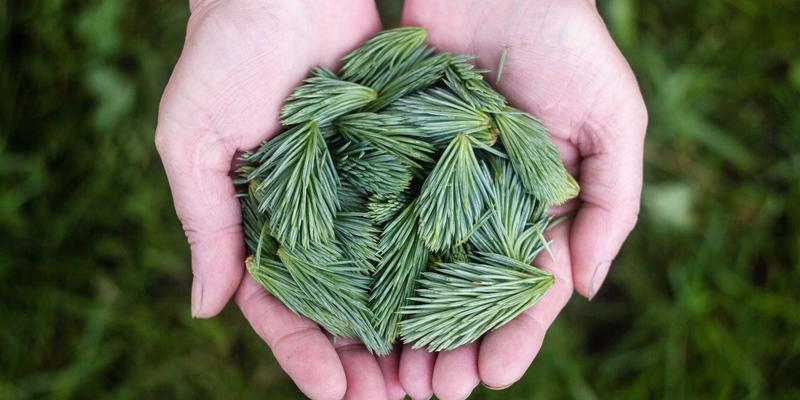 泰山尚峰业主会所运营揭秘：从石材加工到空间艺术，大理石如何定义顶级私享空间