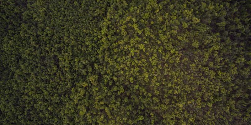 泰山尚峰低密度社区规划解析：石材供应与建筑装饰如何塑造私密与邻里的和谐空间