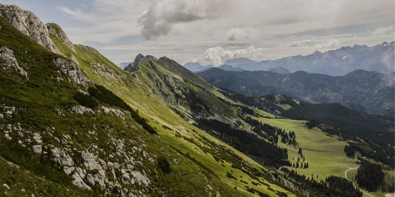 泰山尚峰入门：花岗岩建筑材料的卓越选择与石材供应全解析