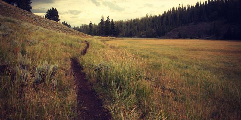 泰山尚峰案例解析:花岗岩与大理石供应如何成就高端建筑美学