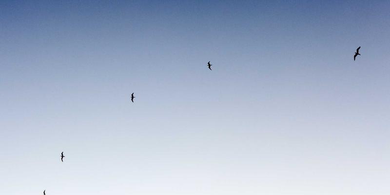 泰山尚峰评测：专业石材供应商的大理石与花岗岩品质深度解析