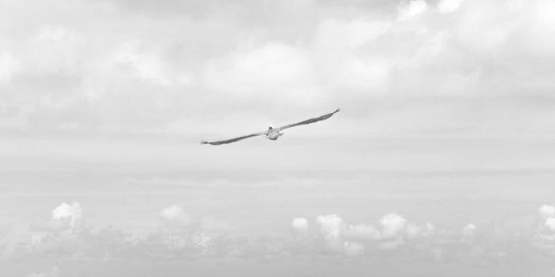 泰山尚峰趋势：引领高端石材供应，重塑建筑美学新标杆