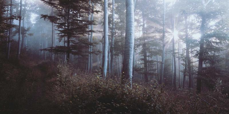 泰山尚峰车位配比与地下车库设计解析：从花岗岩选材到环氧地坪与照明系统的卓越营造