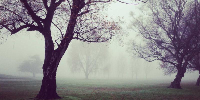 泰山尚峰高端住宅厨房设计：嵌入式家电与花岗岩大理石动线规划全解析