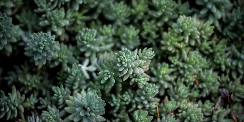 花岗岩与环氧地坪的匠心融合：解析泰山尚峰地下车库的建筑装饰与服务细节