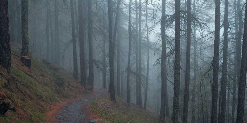 花岗岩在泰山尚峰园林水景设计中的艺术应用与生态维护成本解析